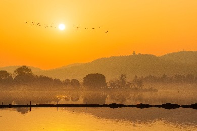 國家AAAA級(jí)景區(qū)——湖北九峰國家森林公園九峰森林動(dòng)物園