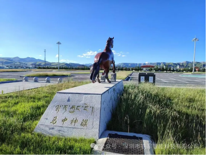 九色甘南格薩爾夏季“蔣朵杯”賽馬會-啟用鐵軍閘機!
